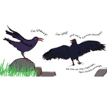 Load image into Gallery viewer, Book - Choughs and Chums