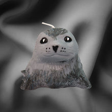 Load image into Gallery viewer, Candles - Seals