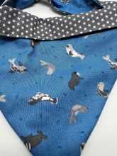 Load image into Gallery viewer, Dog Bandana - St Ives Seal