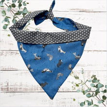 Load image into Gallery viewer, Dog Bandana - St Ives Seal