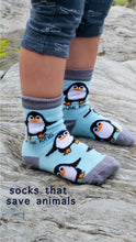 Load image into Gallery viewer, Socks - Penguins Design