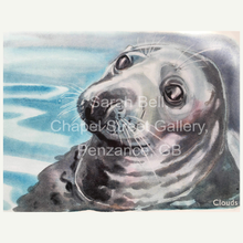 Load image into Gallery viewer, Cards - Sarah Bell Watercolour Seal Collection