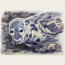 Load image into Gallery viewer, Cards - Sarah Bell Watercolour Seal Collection