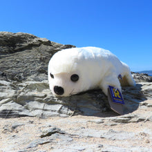 Load image into Gallery viewer, Toy - Large White Seal 40cm