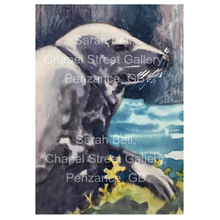 Load image into Gallery viewer, Cards - Sarah Bell Watercolour Seal Collection