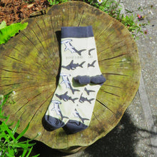 Load image into Gallery viewer, Socks - Sharks Design