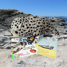 Load image into Gallery viewer, Book - Solva the Seal