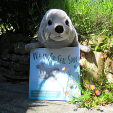 Load image into Gallery viewer, Book - What The Seal Saw