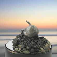 Load image into Gallery viewer, Art - Seal sculpture: Morning Mist