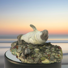 Load image into Gallery viewer, Art - Seal sculpture: Albino Badger