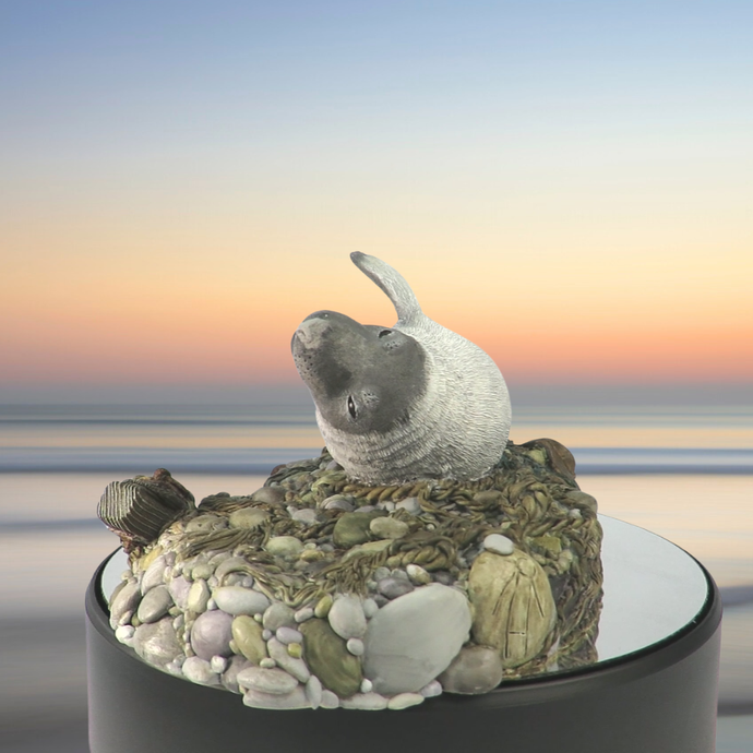 Art - Seal sculpture: Dark Top and Tail Pup