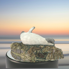 Load image into Gallery viewer, Art - Seal sculpture: Dark Top and Tail Pup