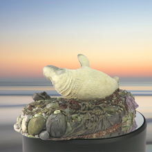Load image into Gallery viewer, Art - Seal sculpture: Pale Badger Pup