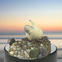Load image into Gallery viewer, Art - Seal sculpture: Pale Badger Pup