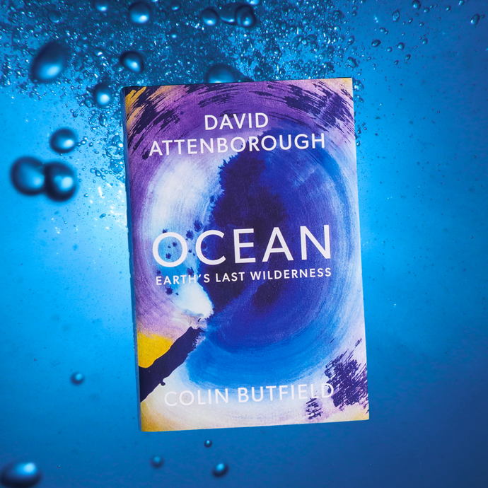 Book - Ocean: Earth's Last Wilderness