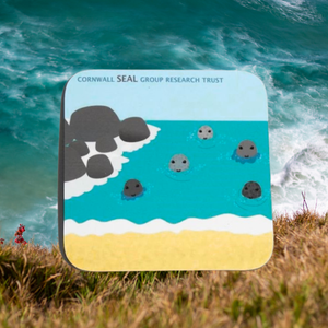 Coasters