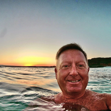 Load image into Gallery viewer, Art - Humpback Whale