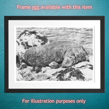 Load image into Gallery viewer, Print - Pencil Illustration by Pat Johnson