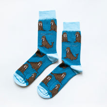 Load image into Gallery viewer, Socks - Walrus Design