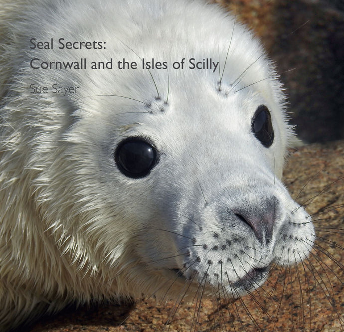 Book - Seal Secrets Updated 2023 Bumper Edition