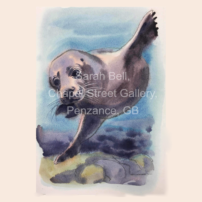 Cards - Sarah Bell Watercolour Seal Collection