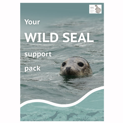 Adopt a seal: Our Wild Seal Supporter and Adoption Scheme lets you adopt a seal and follow it for life