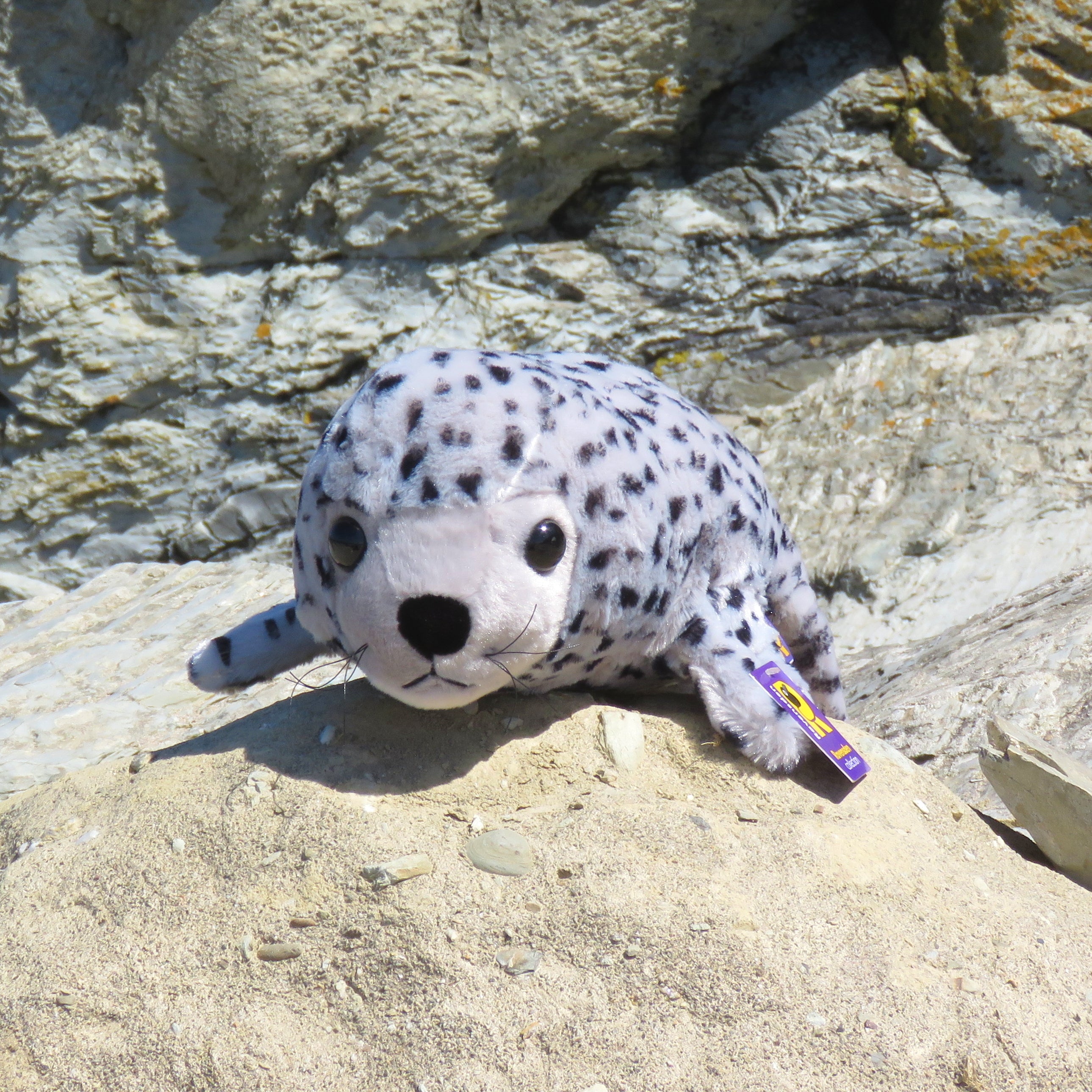 Fluffy Spotty Seal Cuddly Toy Seal Research Trust