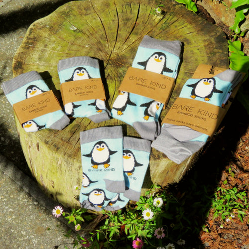 Socks - Penguins Design