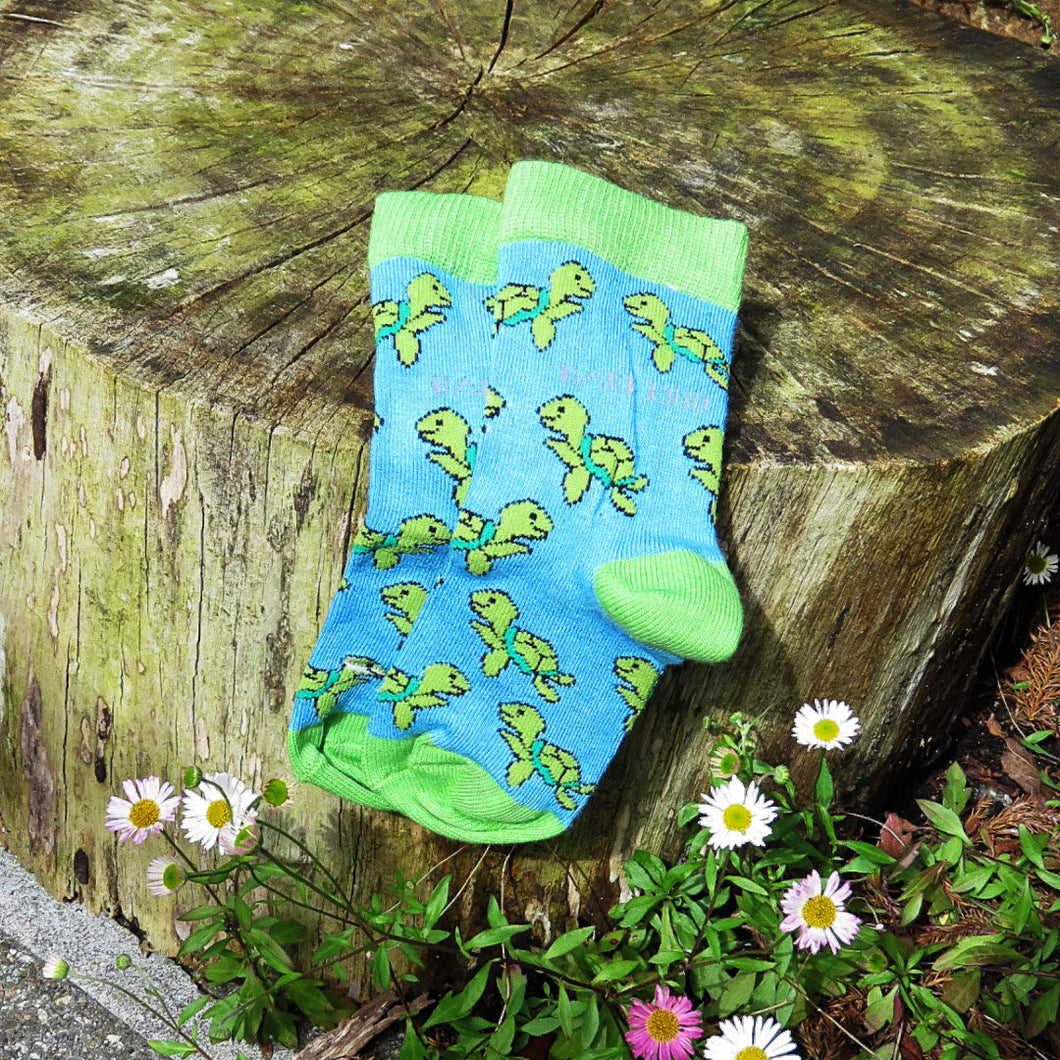 Socks - Turtles Design