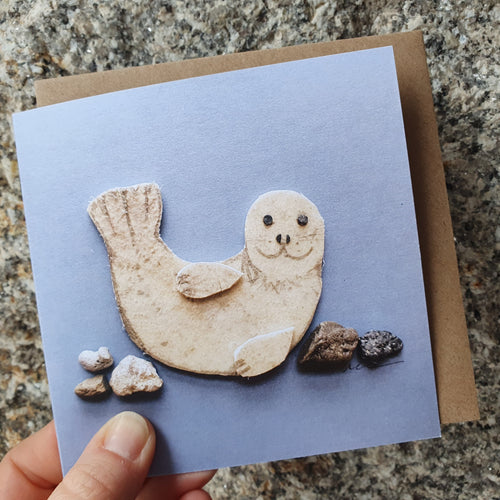 Cards - Seal Pup with Rocks