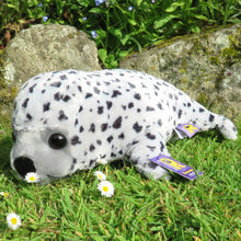 Load image into Gallery viewer, Toy - Large Spotty Seal 40cm
