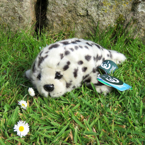 Toy - Small spotty seal 24cm