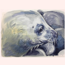 Load image into Gallery viewer, Cards - Sarah Bell Watercolour Seal Collection